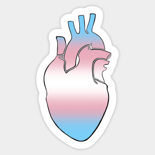 Transgender Pride Heart Sticker